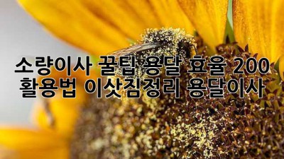 소량이사 꿀팁🍯 용달 효율 200% 활용법! #이삿짐정리 #용달이사