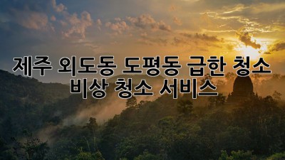 제주 외도동 도평동 급한 청소? 비상 청소 서비스!