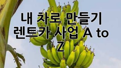 내 차로 💰만들기? 렌트카 사업 A to Z🚗