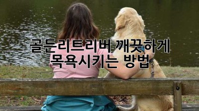 골든리트리버, 깨끗하게 목욕시키는 방법